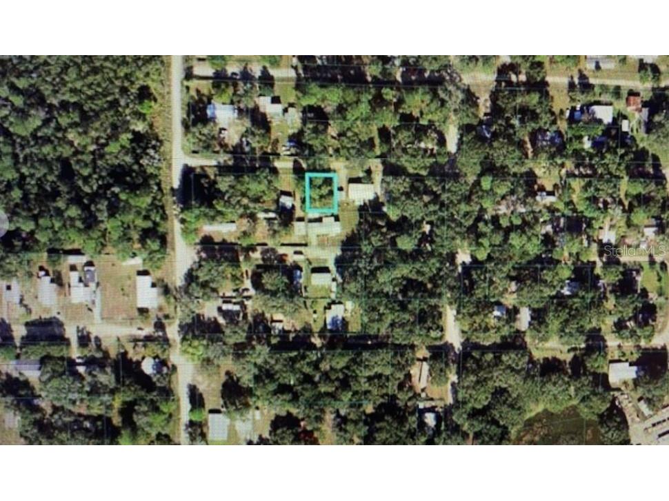 NE 131 Place Salt Springs FL 32134 O6064126 image1