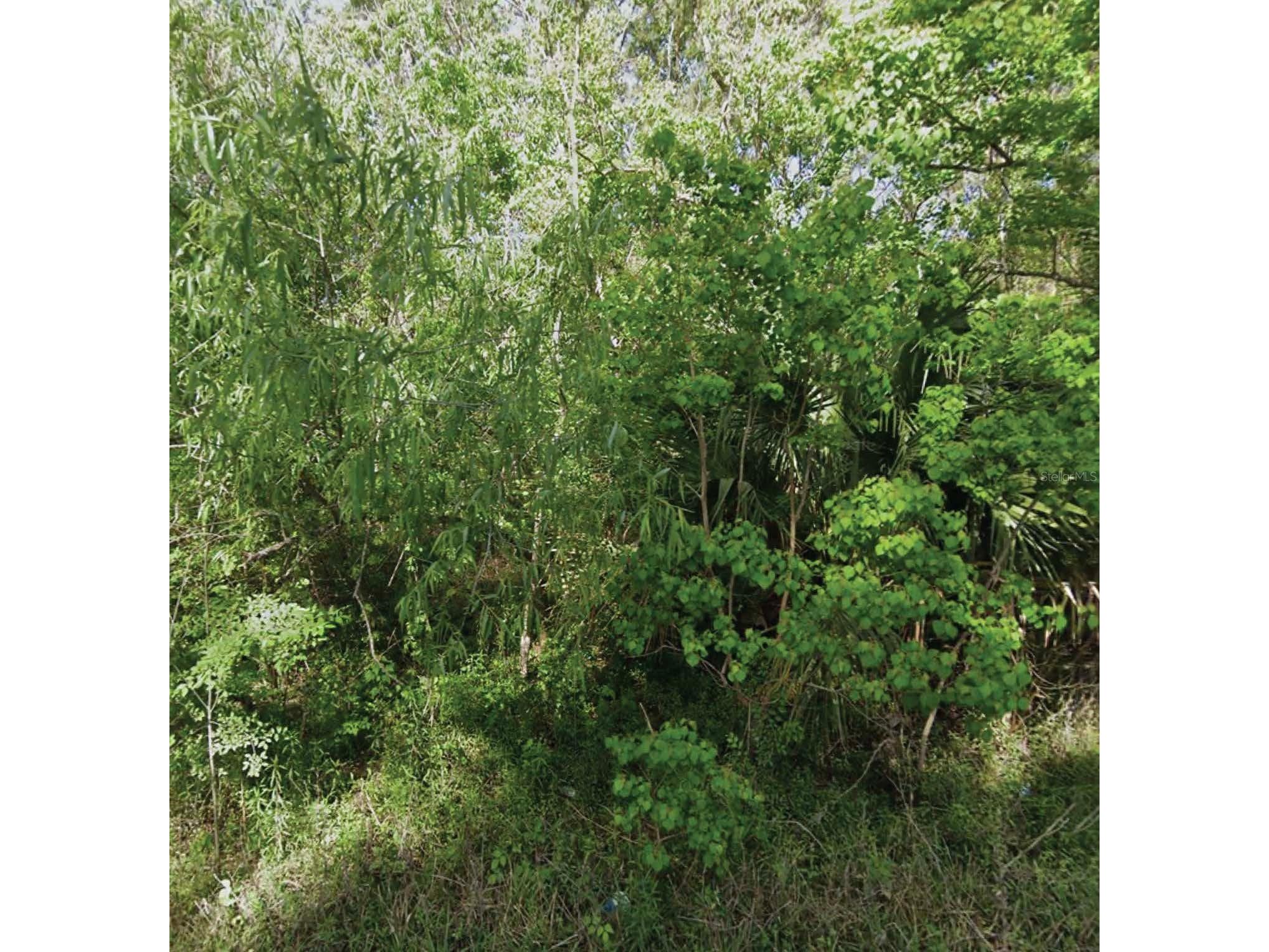 NE 132nd Avenue Silver Springs FL 34488 O6382503 image1