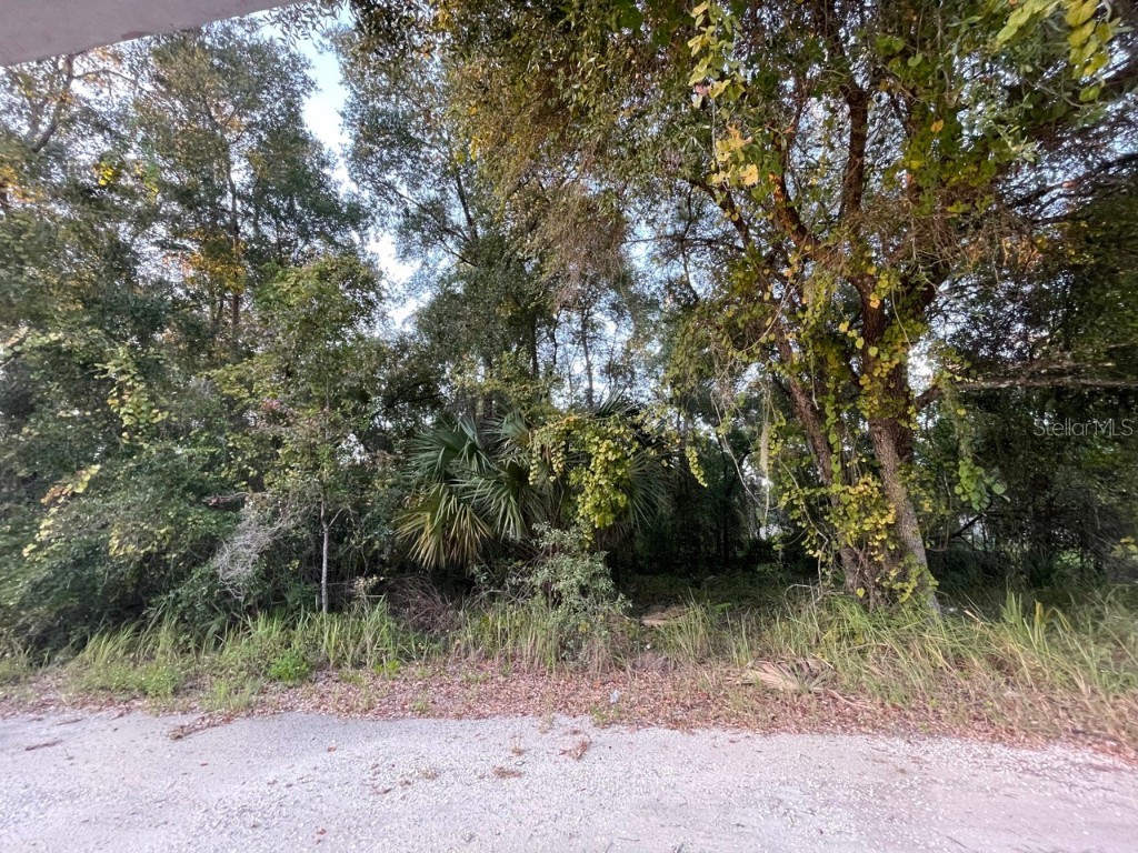 NE 132nd Street Salt Springs FL 32134 - LITTLE LAKE KERR OM699916 image1