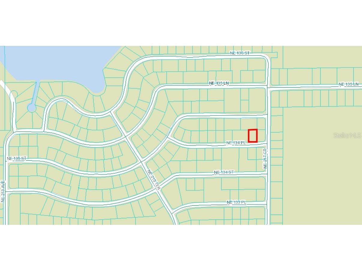 Ne 134 Pl Salt Springs FL 32134 FC311282 image2