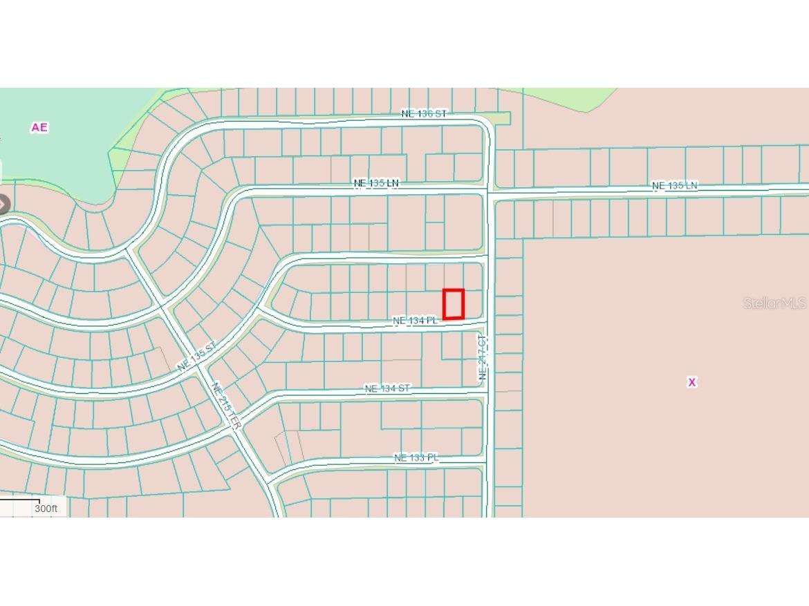 Ne 134 Pl Salt Springs FL 32134 FC311282 image3