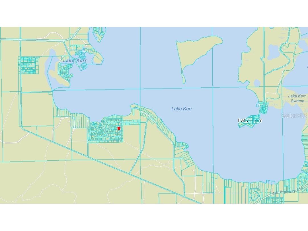 Ne 134 Pl Salt Springs FL 32134 FC311282 image4