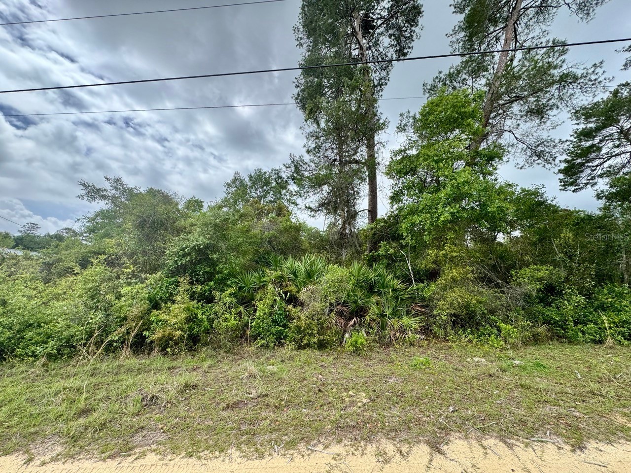 NE 134th Place Salt Springs FL 32134 - LAKE KERR OM723621 image1