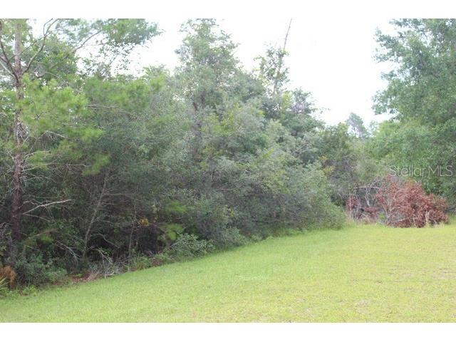 NE 134th Street Fort Mc Coy FL 32134 G5069788 image1