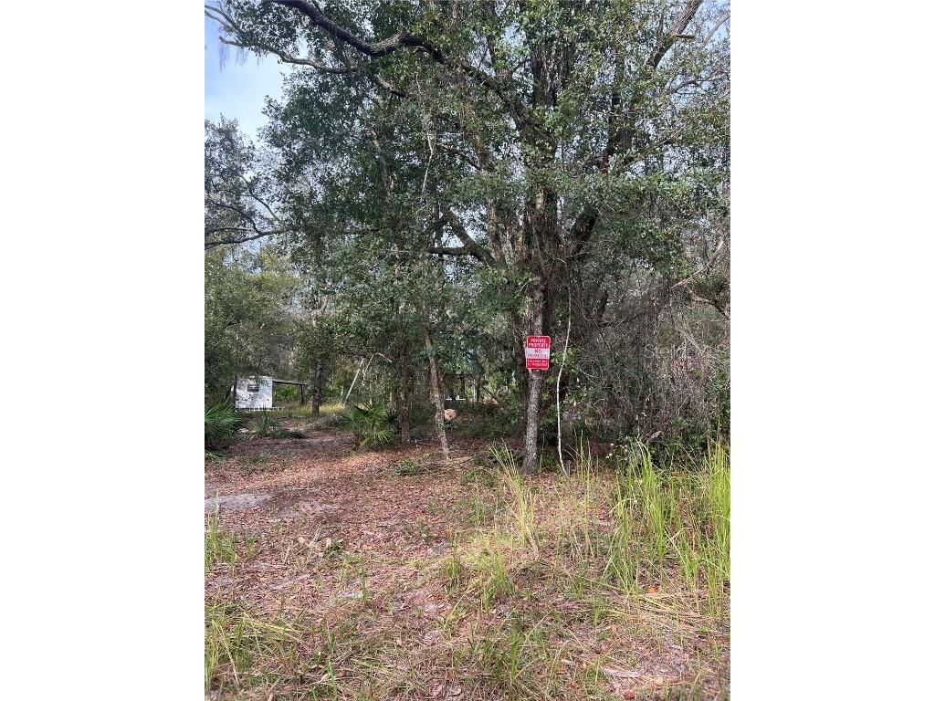 NE 134th Street Fort Mc Coy FL 32134 OM668796 image1