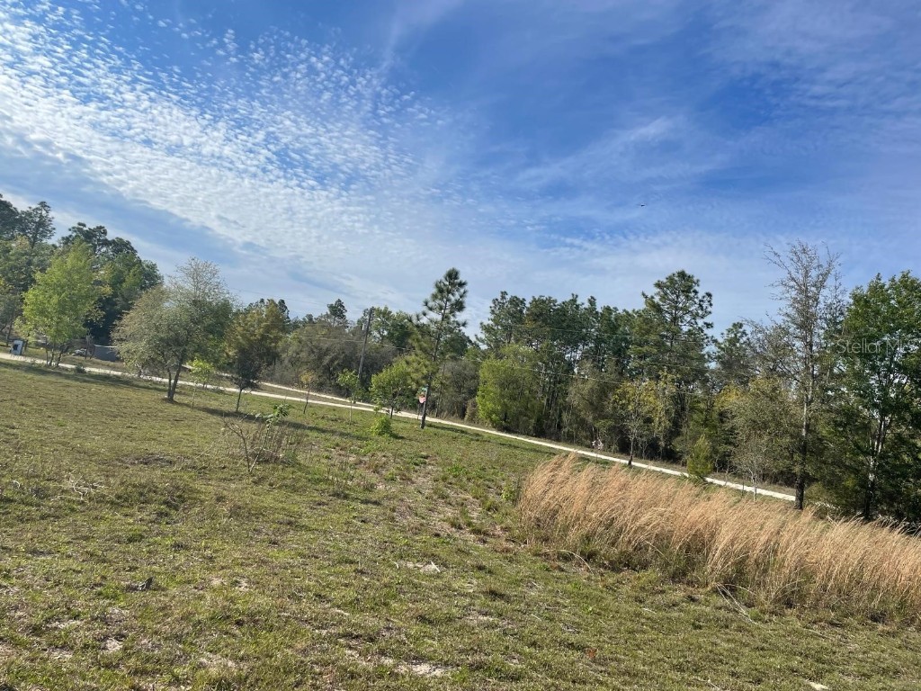 NE 135th Court Williston FL 32696 OM705594 image2