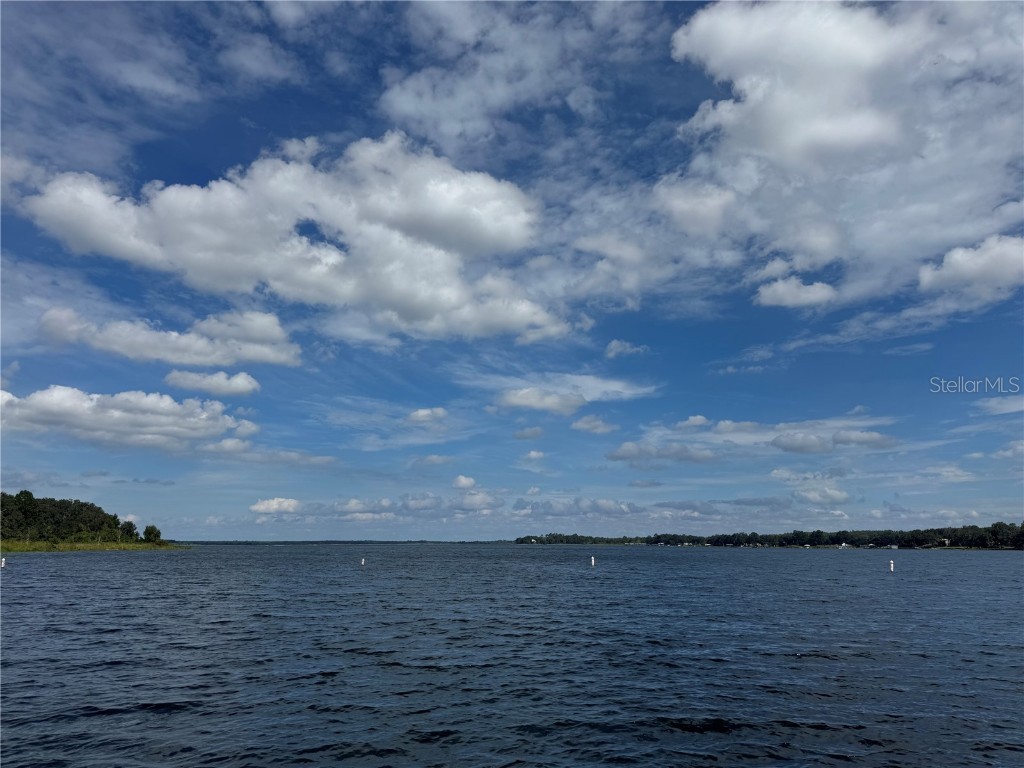 Ne 135th St Salt Springs FL 32134 OM709418 image16