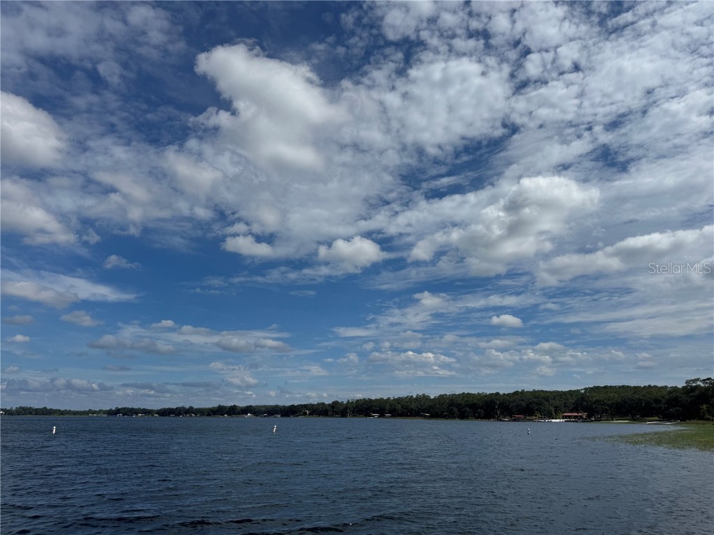 Ne 135th St Salt Springs FL 32134 OM709418 image17