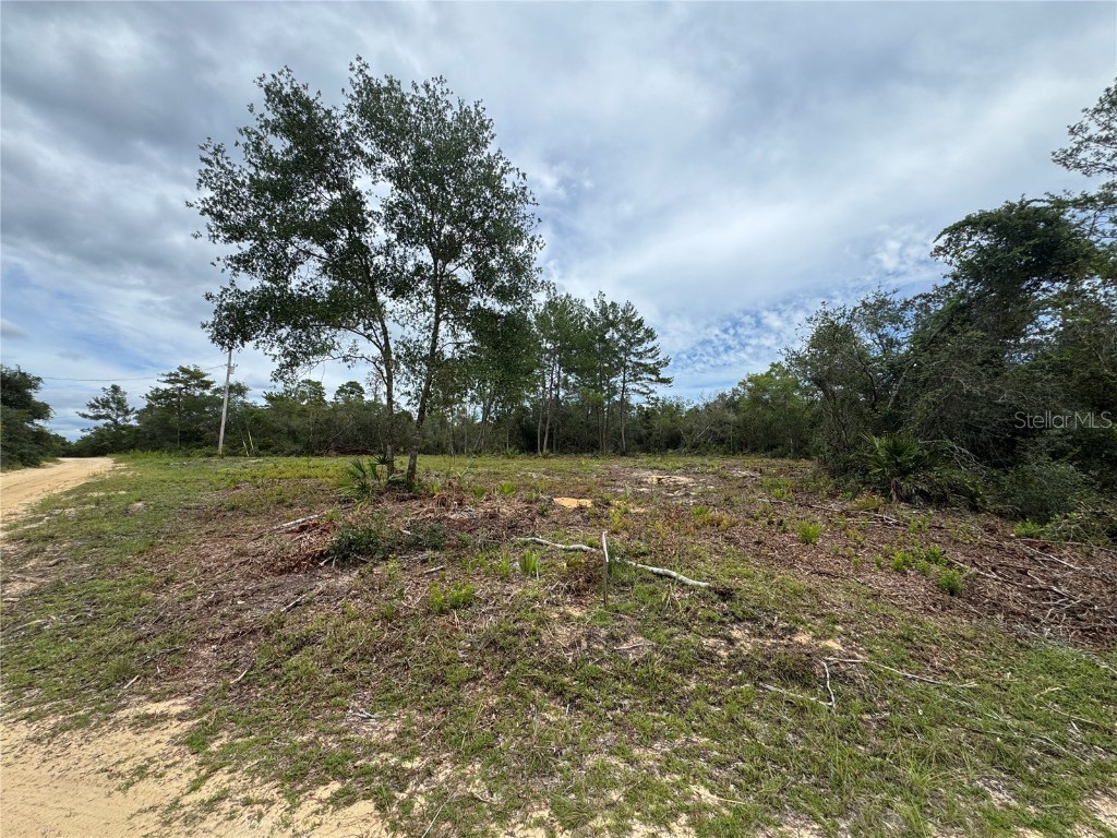 Ne 135th St Salt Springs FL 32134 OM709418 image4