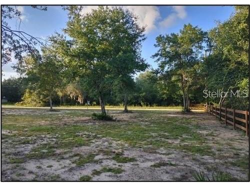 NE 135th Street Salt Springs FL 32134 - LAKE KERR OM724915 image3