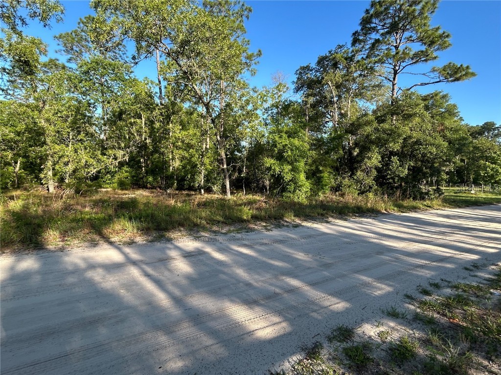 NE 139th Avenue Williston FL 32696 A4652917 image1