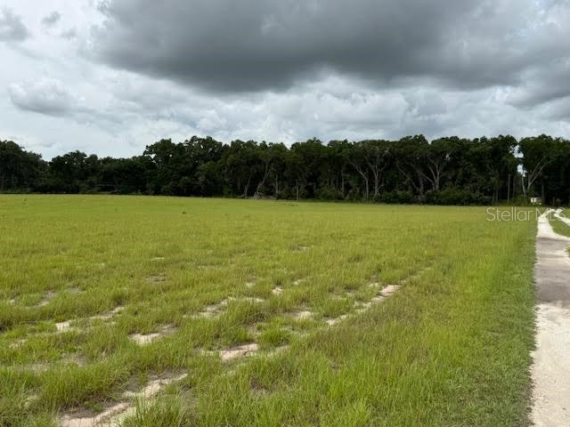 NE 141 Citra FL 32113 OM702894 image3