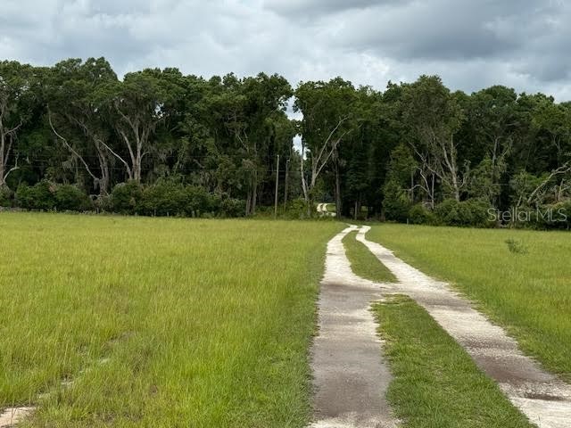 NE 141 Citra FL 32113 OM702894 image4