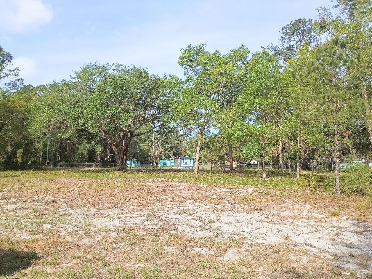 Ne 141st Ct Fort Mc Coy FL 32134 OM722472 image1