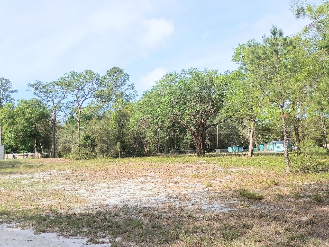 Ne 141st Ct Fort Mc Coy FL 32134 OM722472 image2