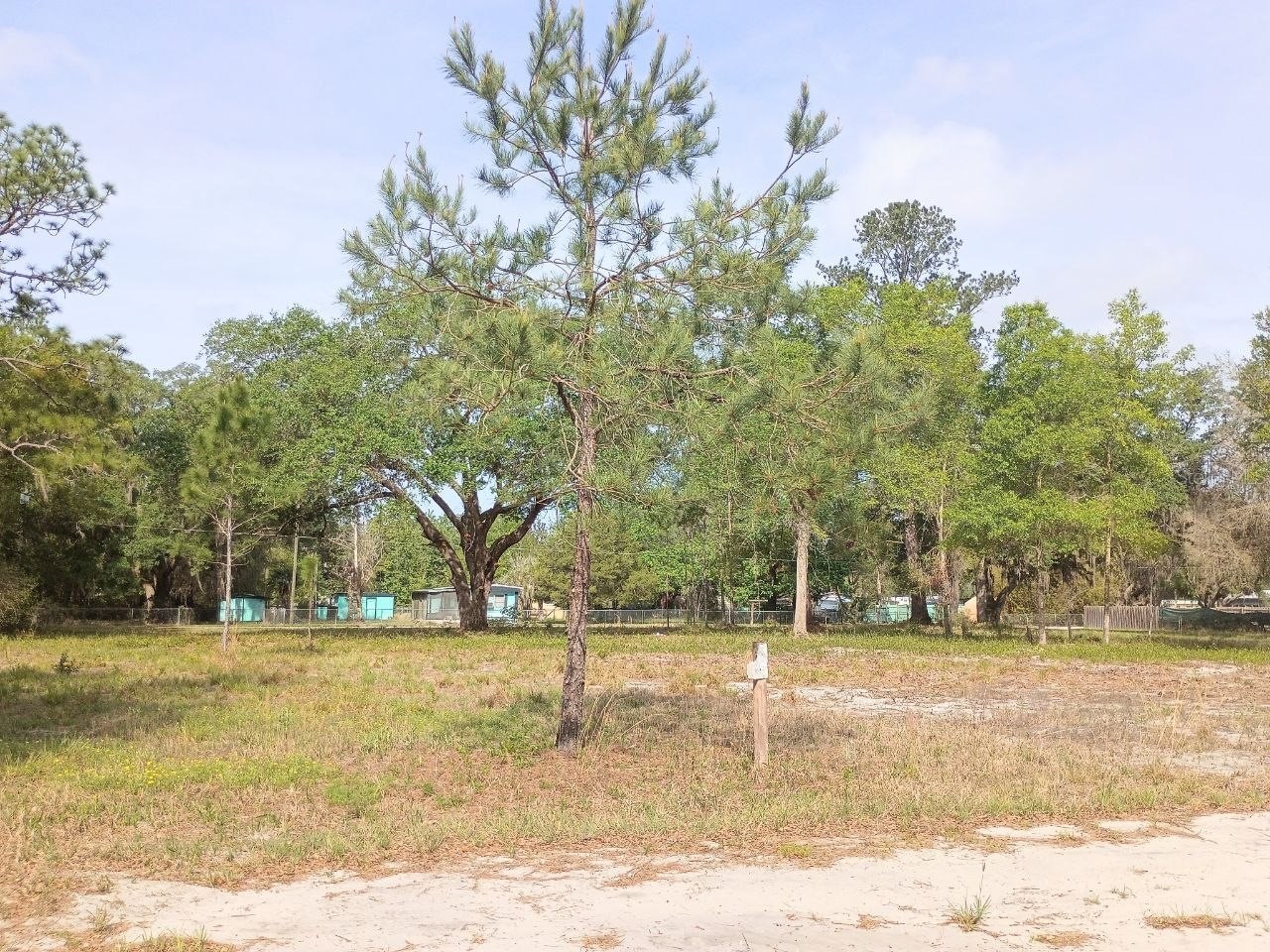 Ne 141st Ct Fort Mc Coy FL 32134 OM722472 image3