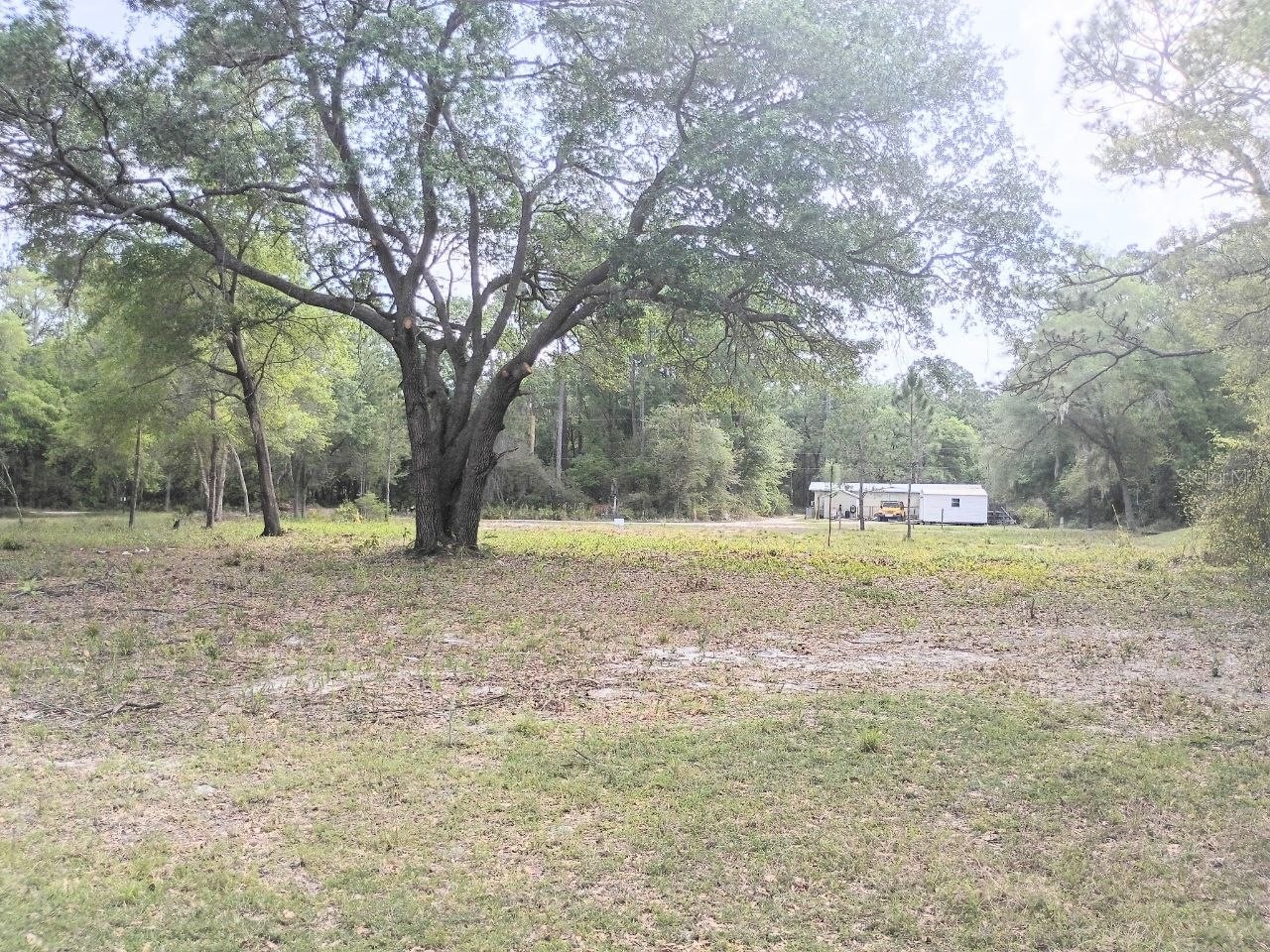 Ne 141st Ct Fort Mc Coy FL 32134 OM722472 image4