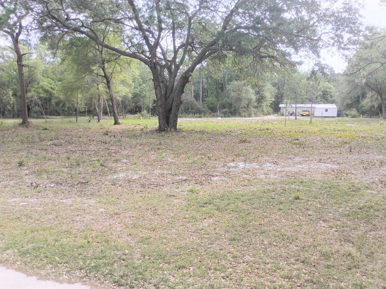Ne 141st Ct Fort Mc Coy FL 32134 OM722472 image5