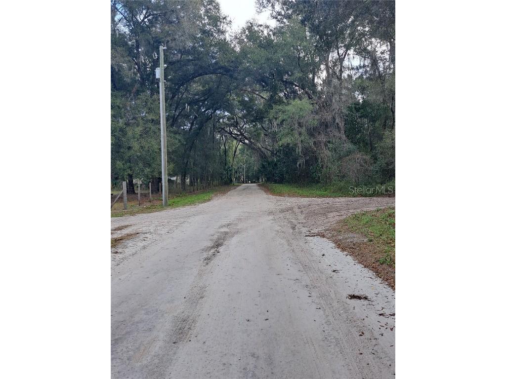 NE 142 Place Anthony FL 32617 OM671582 image1