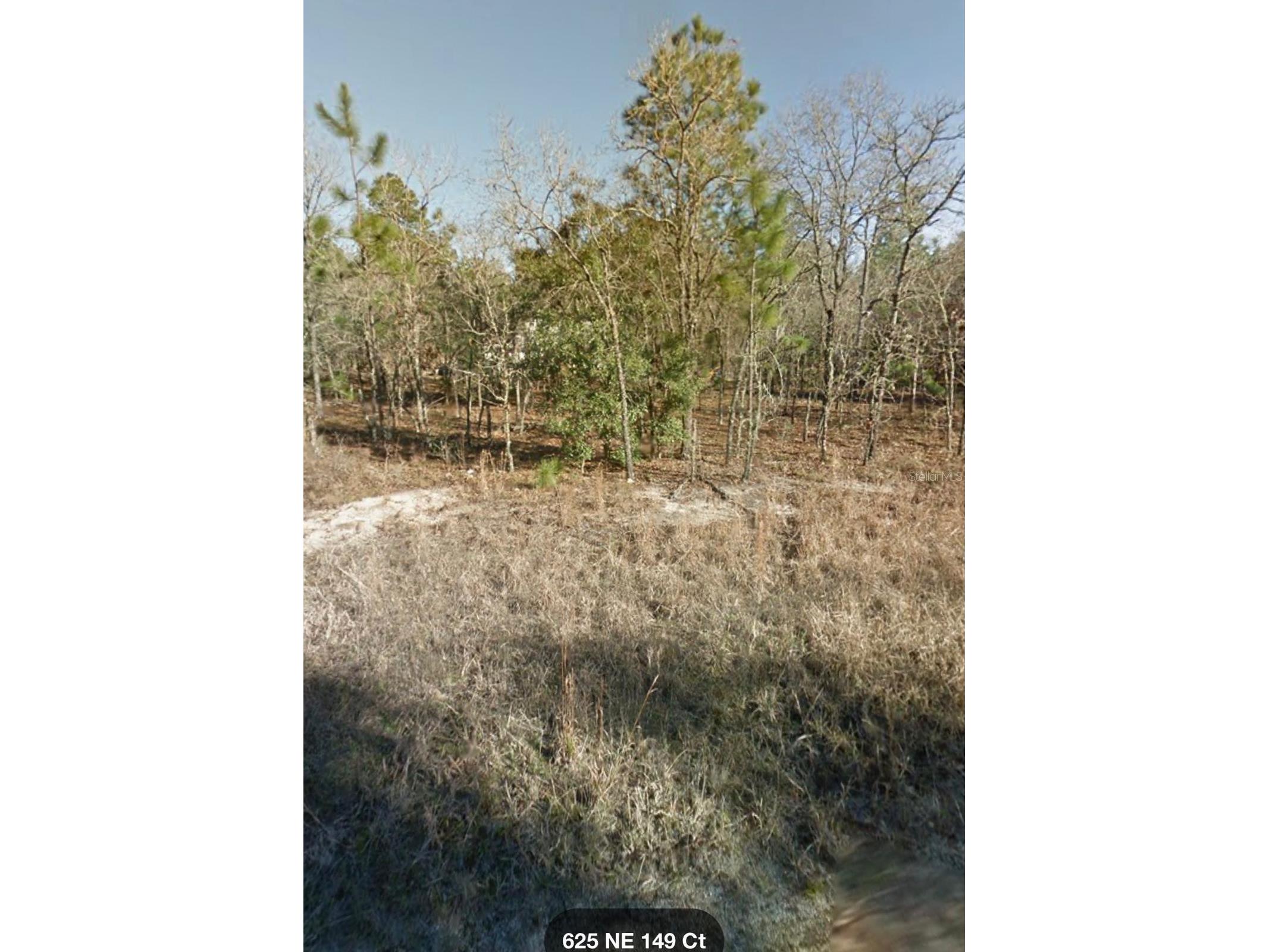 Ne 149th Ct Williston FL 32696 S5145643 image1