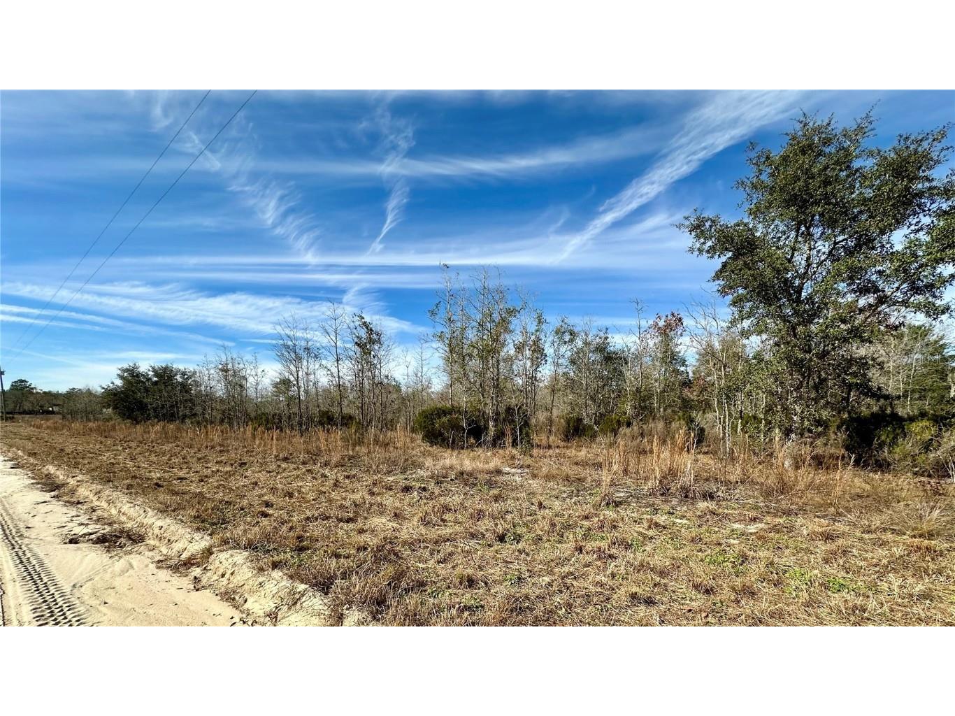 Ne 14th St. Williston FL 32696 OM671549 image1