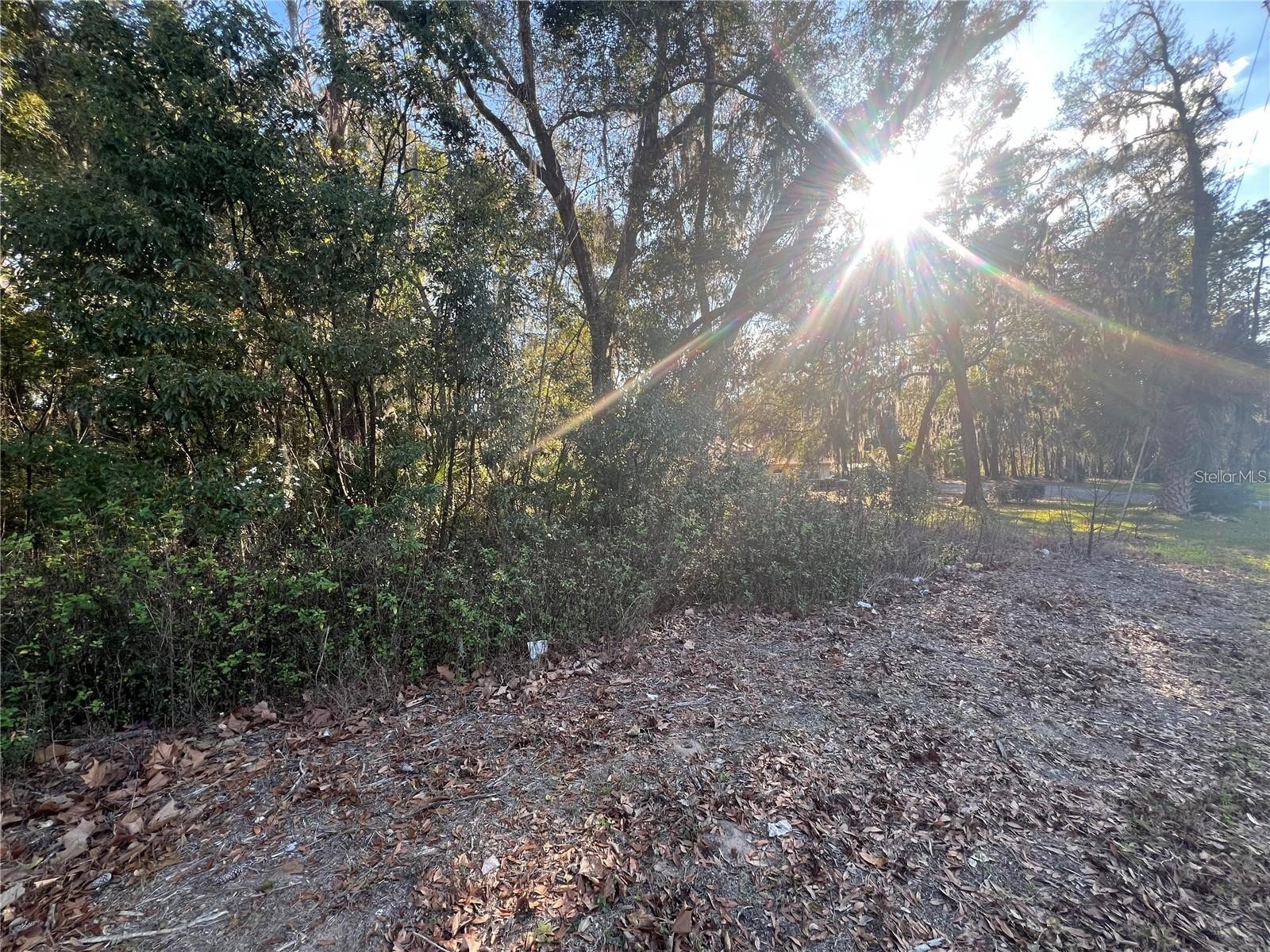 NE 14th Street Ocala FL 34470 OM725038 image2