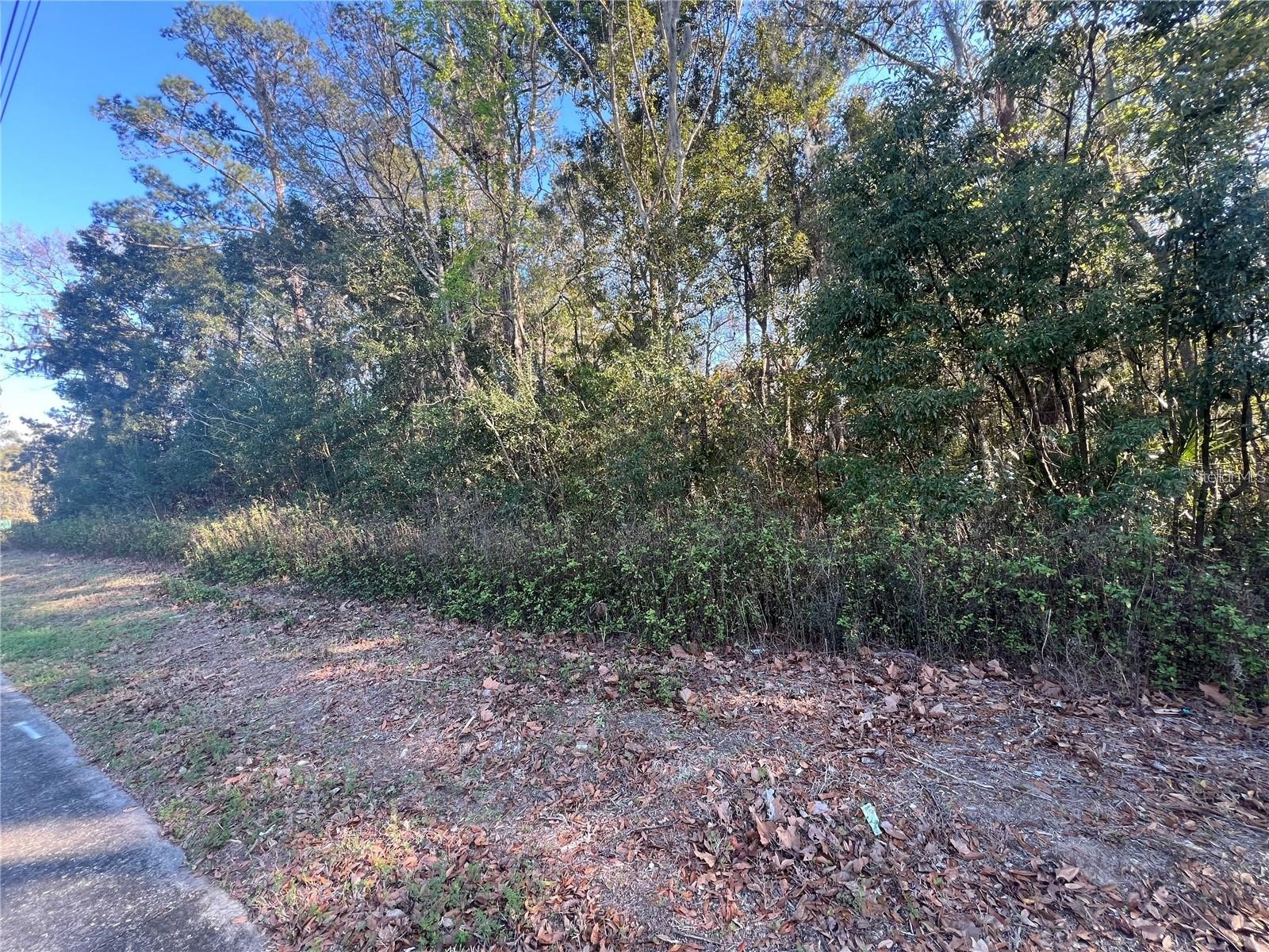 NE 14th Street Ocala FL 34470 OM725038 image3