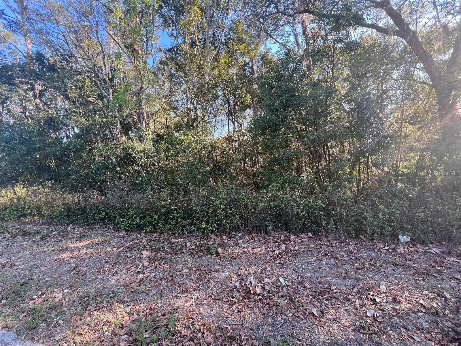 NE 14th Street Ocala FL 34470 OM725038 image4