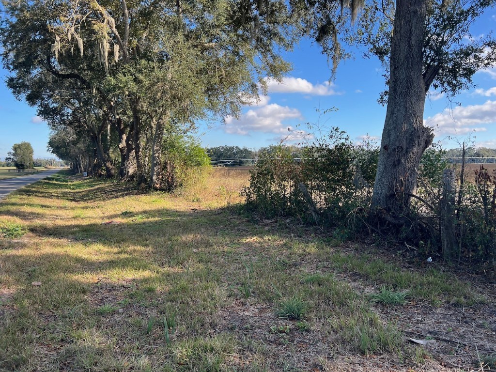 NE 150 Street Trenton FL 32693 OM714824 image1