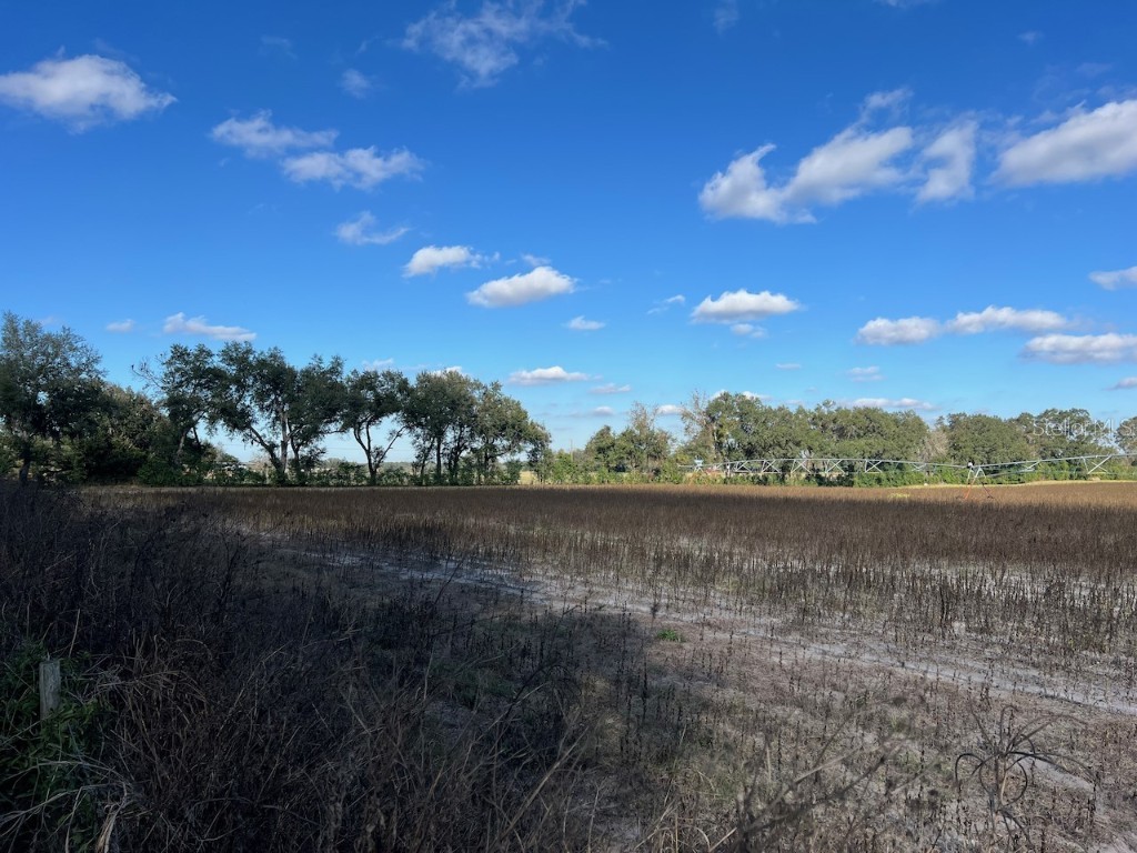NE 150 Street Trenton FL 32693 OM714824 image2