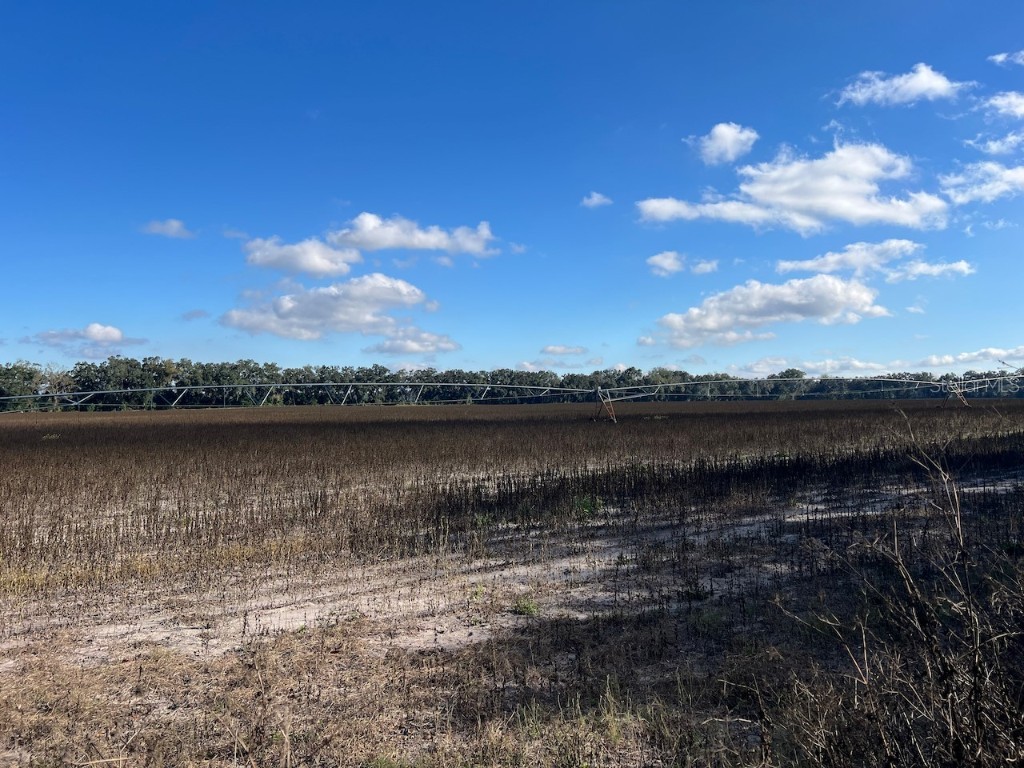 NE 150 Street Trenton FL 32693 OM714824 image3