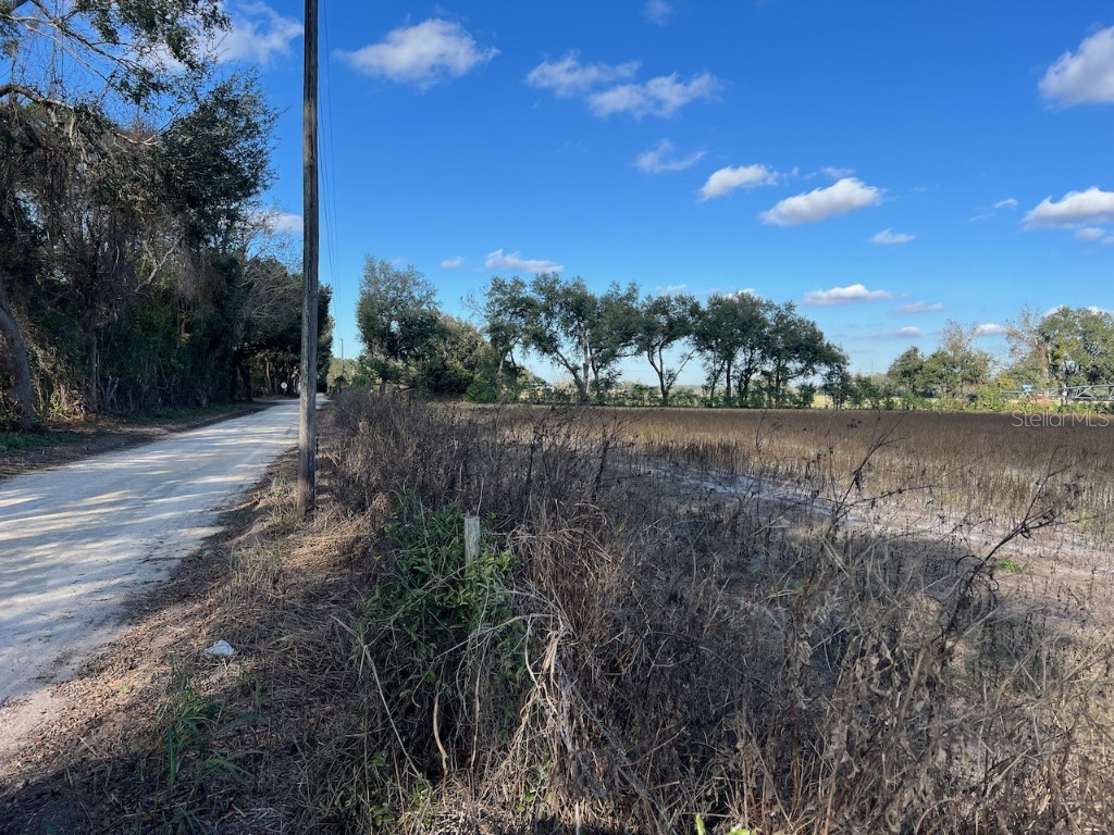 NE 150 Street Trenton FL 32693 OM714824 image4