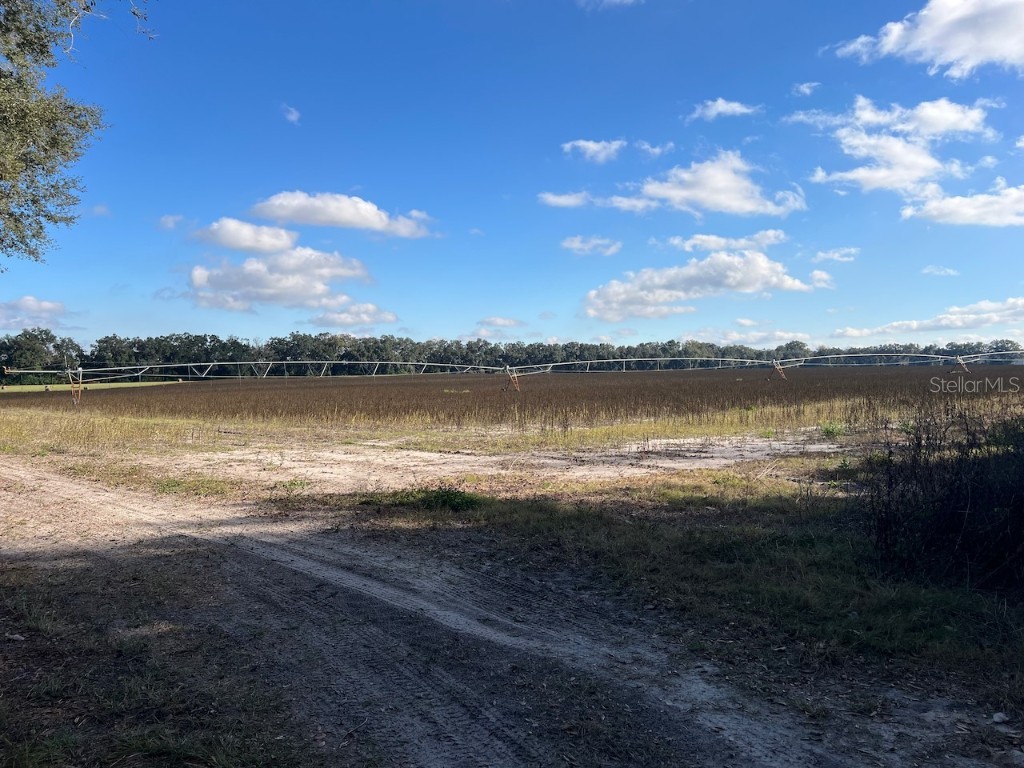 NE 150 Street Trenton FL 32693 OM714824 image5