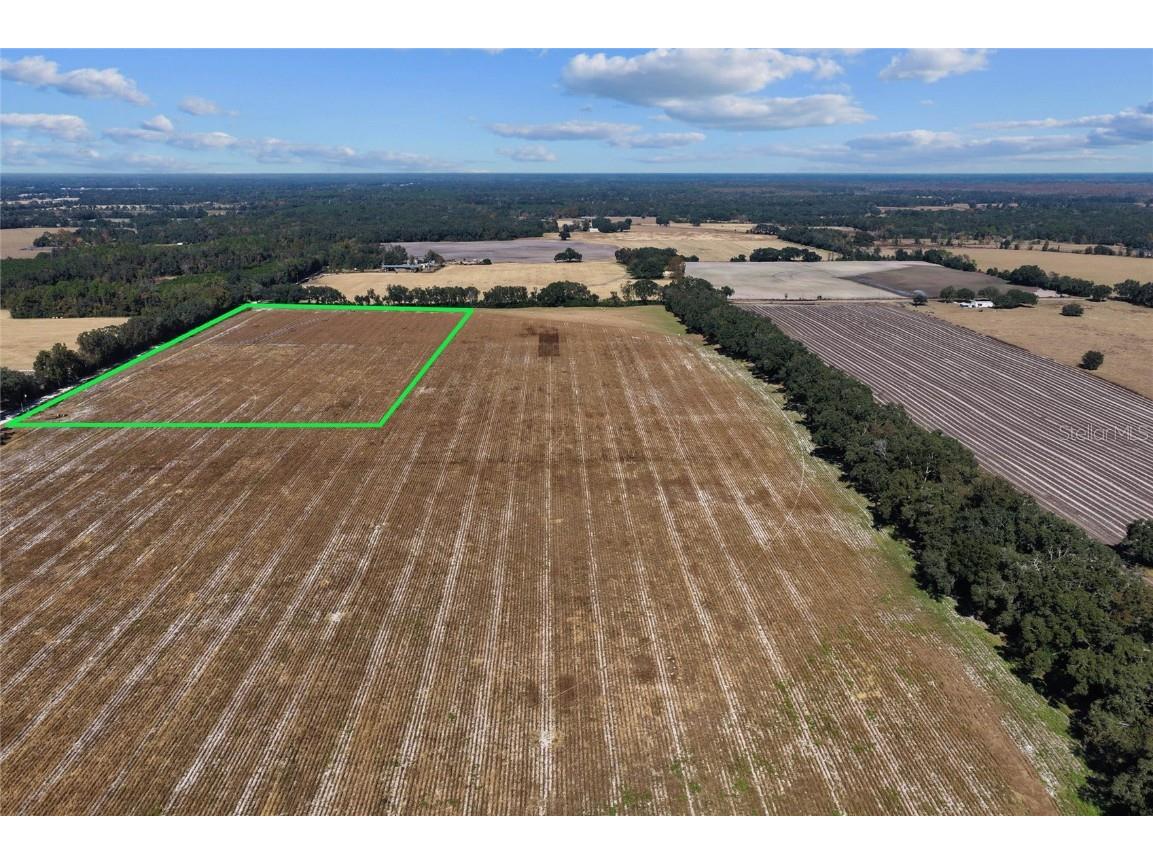 NE 150 Street Trenton FL 32693 OM714824 image9