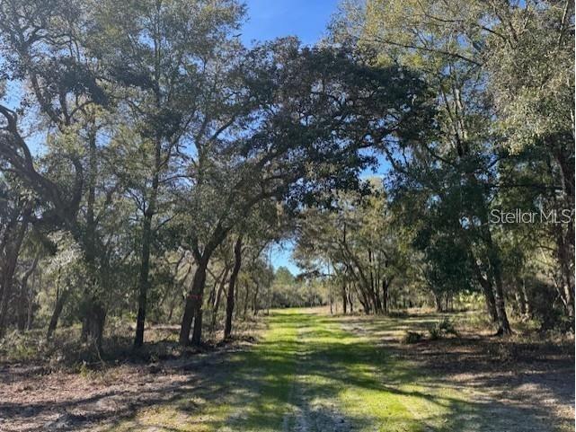 NE 150th Ave Road #LOT 1 Fort Mc Coy FL 32134 OM699895 image10