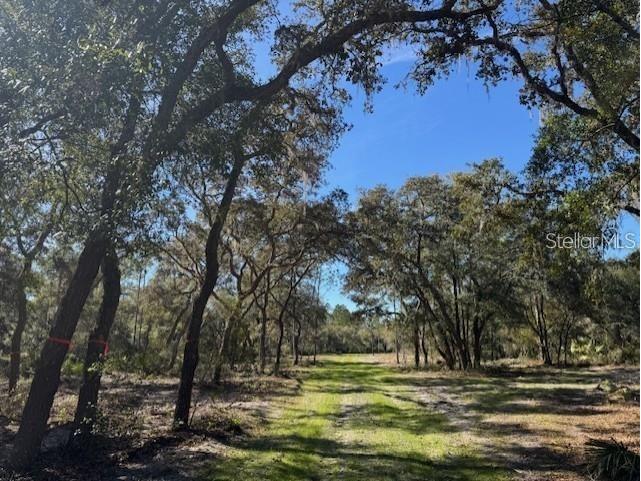 NE 150th Ave Road #LOT 1 Fort Mc Coy FL 32134 OM699895 image11