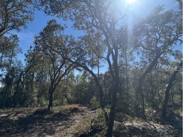 NE 150th Ave Road #LOT 1 Fort Mc Coy FL 32134 OM699895 image12