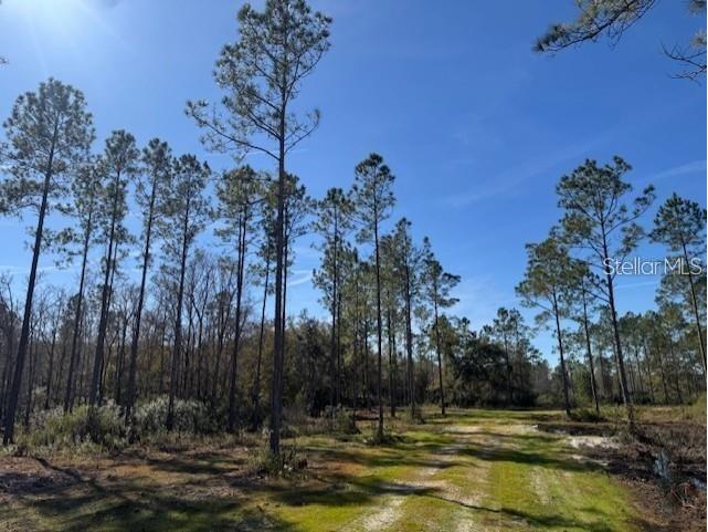 NE 150th Ave Road #LOT 1 Fort Mc Coy FL 32134 OM699895 image13