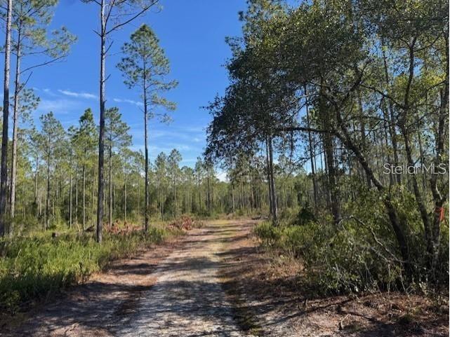 NE 150th Ave Road #LOT 1 Fort Mc Coy FL 32134 OM699895 image14