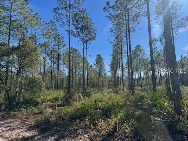 NE 150th Ave Road #LOT 1 Fort Mc Coy FL 32134 OM699895 image16