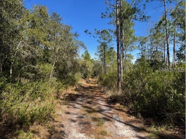 NE 150th Ave Road #LOT 1 Fort Mc Coy FL 32134 OM699895 image18