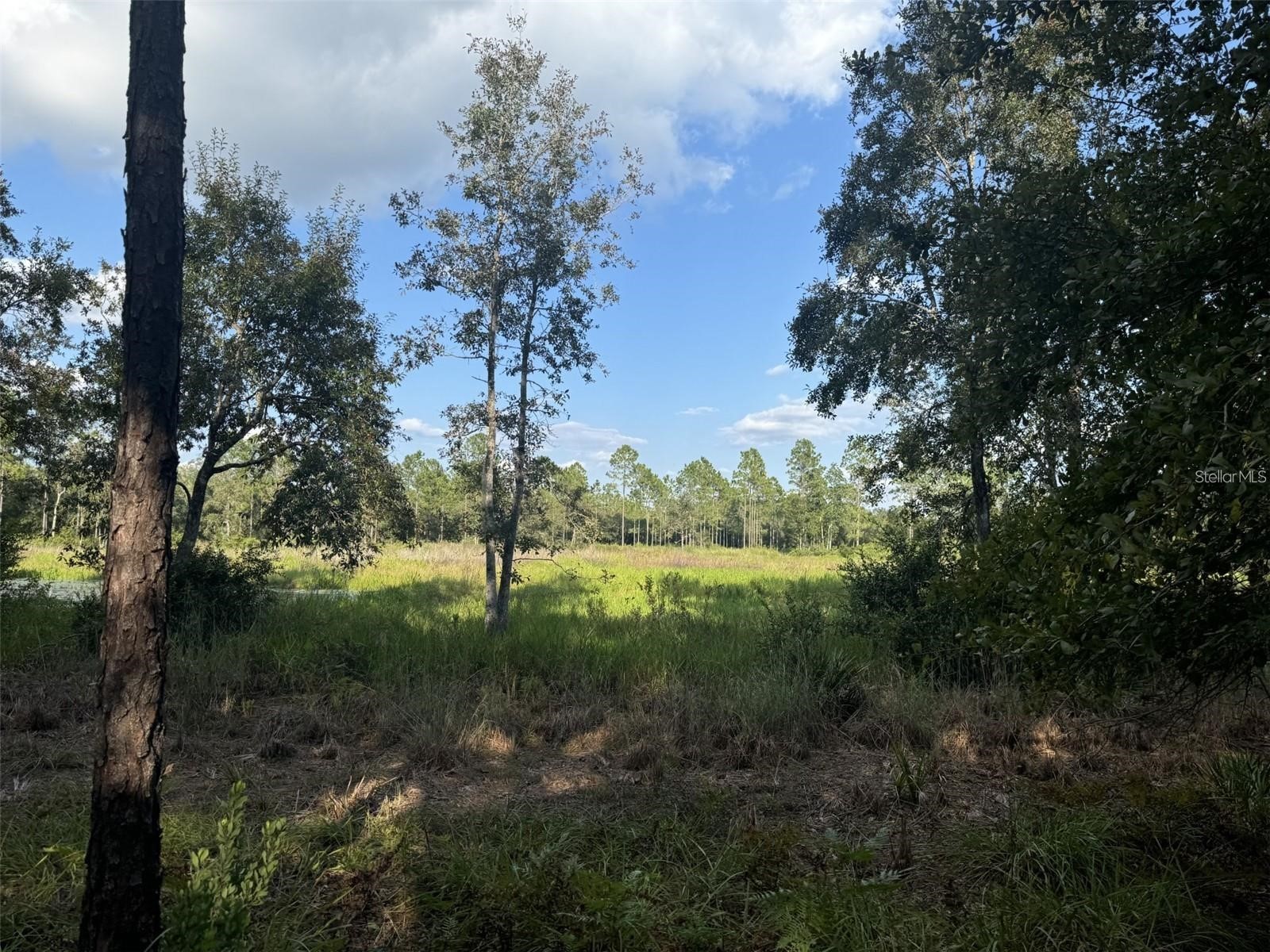 NE 150th Ave Road #LOT 1 Fort Mc Coy FL 32134 OM699895 image20