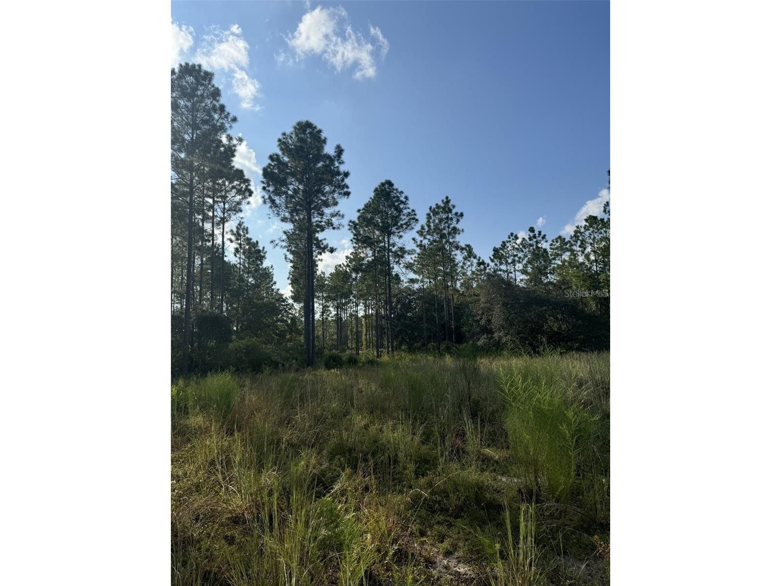 NE 150th Ave Road #LOT 1 Fort Mc Coy FL 32134 OM699895 image22