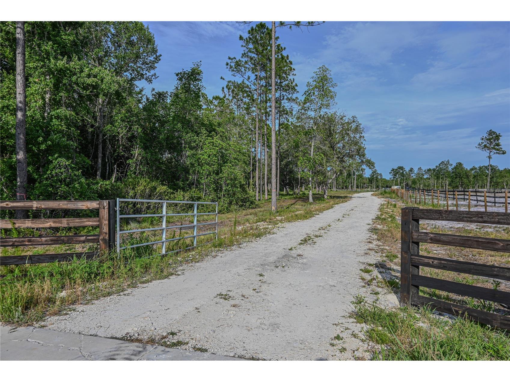 NE 150th Ave Road #LOT 1 Fort Mc Coy FL 32134 OM699895 image27