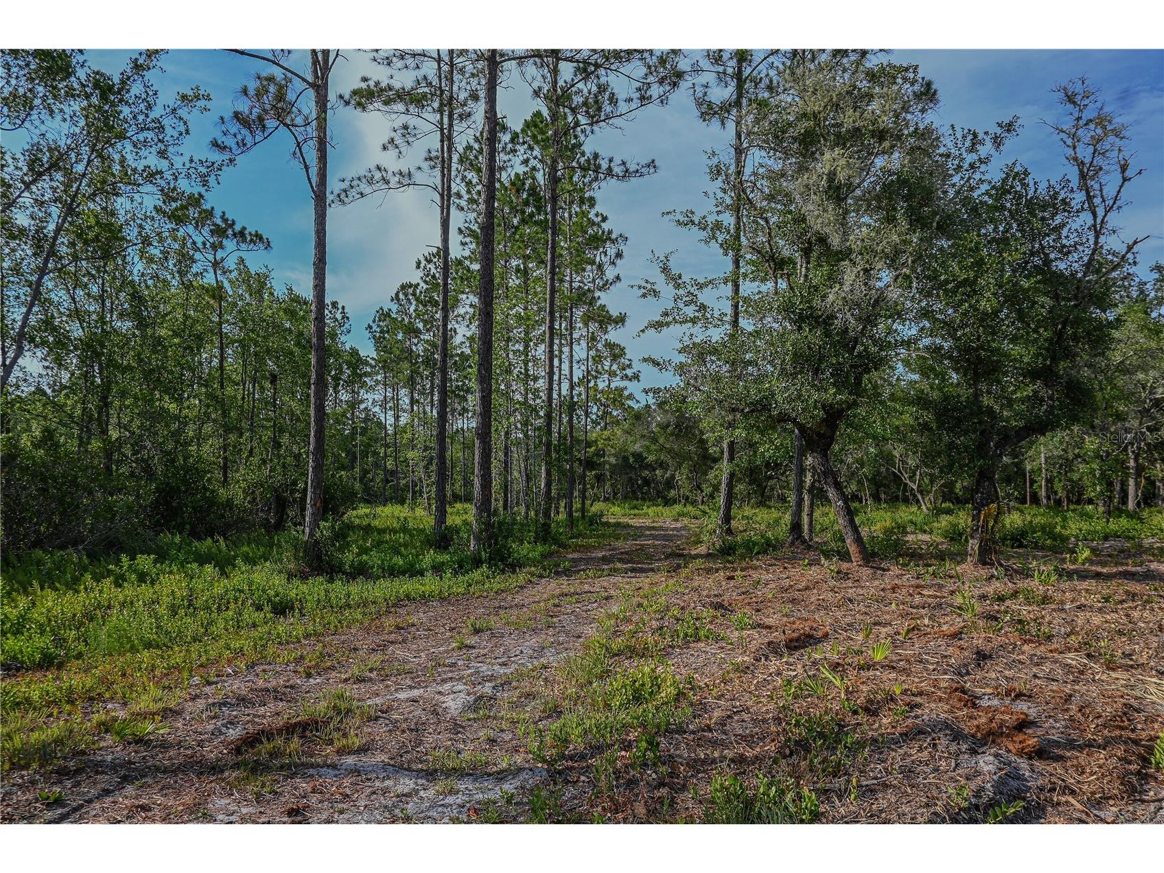 NE 150th Ave Road #LOT 1 Fort Mc Coy FL 32134 OM699895 image29