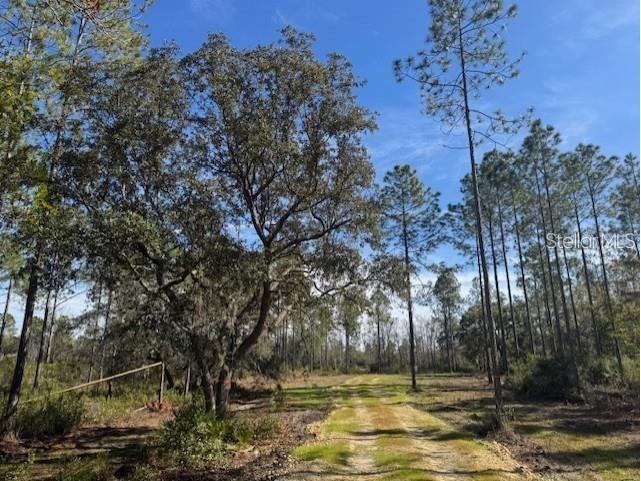 NE 150th Ave Road #LOT 1 Fort Mc Coy FL 32134 OM699895 image3