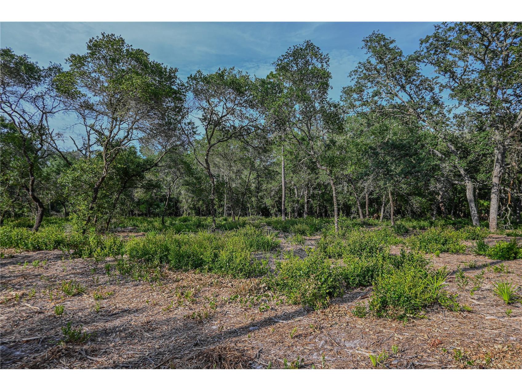 NE 150th Ave Road #LOT 1 Fort Mc Coy FL 32134 OM699895 image30