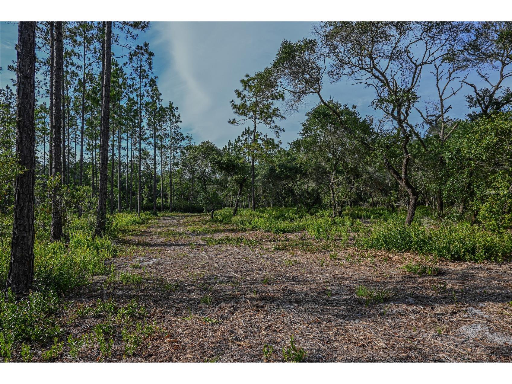 NE 150th Ave Road #LOT 1 Fort Mc Coy FL 32134 OM699895 image31