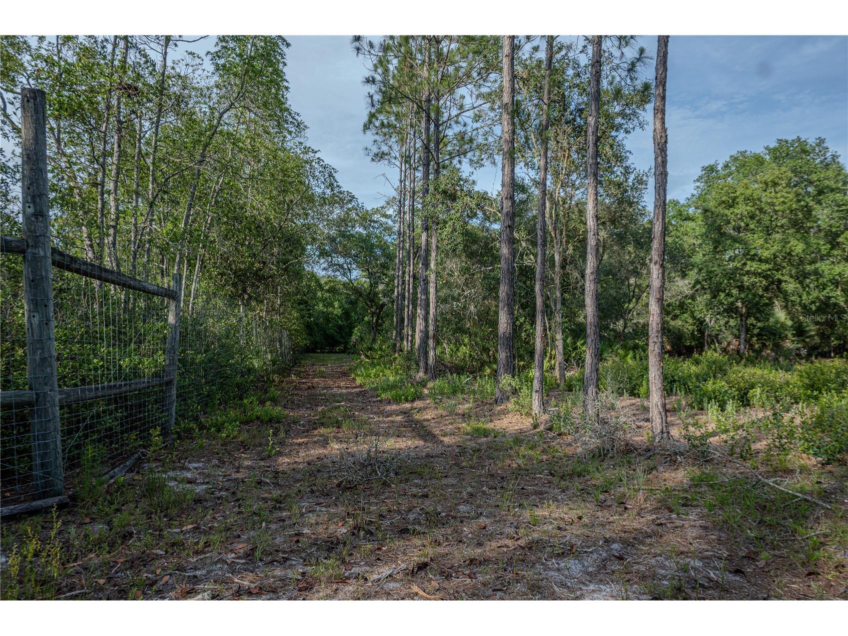 NE 150th Ave Road #LOT 1 Fort Mc Coy FL 32134 OM699895 image34
