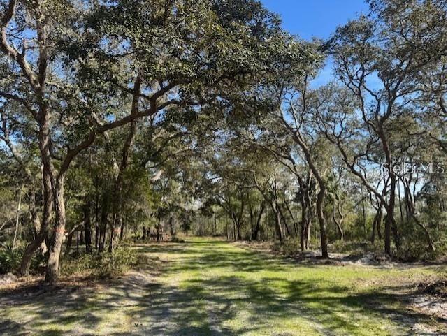 NE 150th Ave Road #LOT 1 Fort Mc Coy FL 32134 OM699895 image5